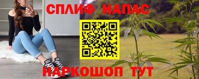 гидра Заводоуковск