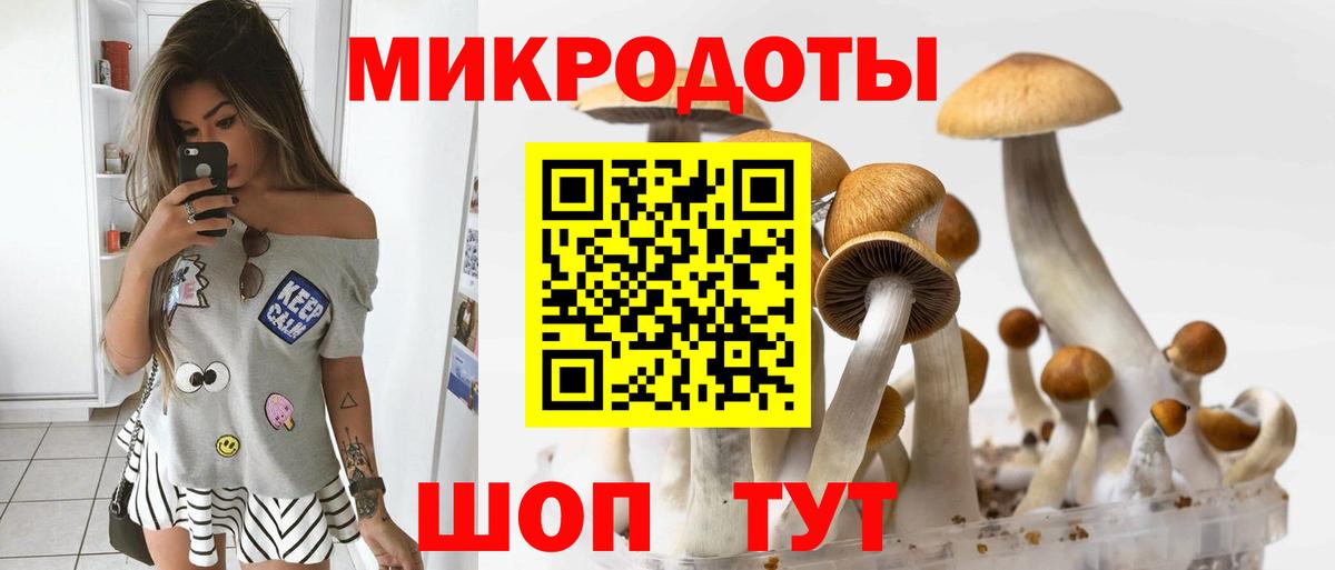 Псилоцибиновые грибы Magic Shrooms  Вход с VPN  Лесозаводск 